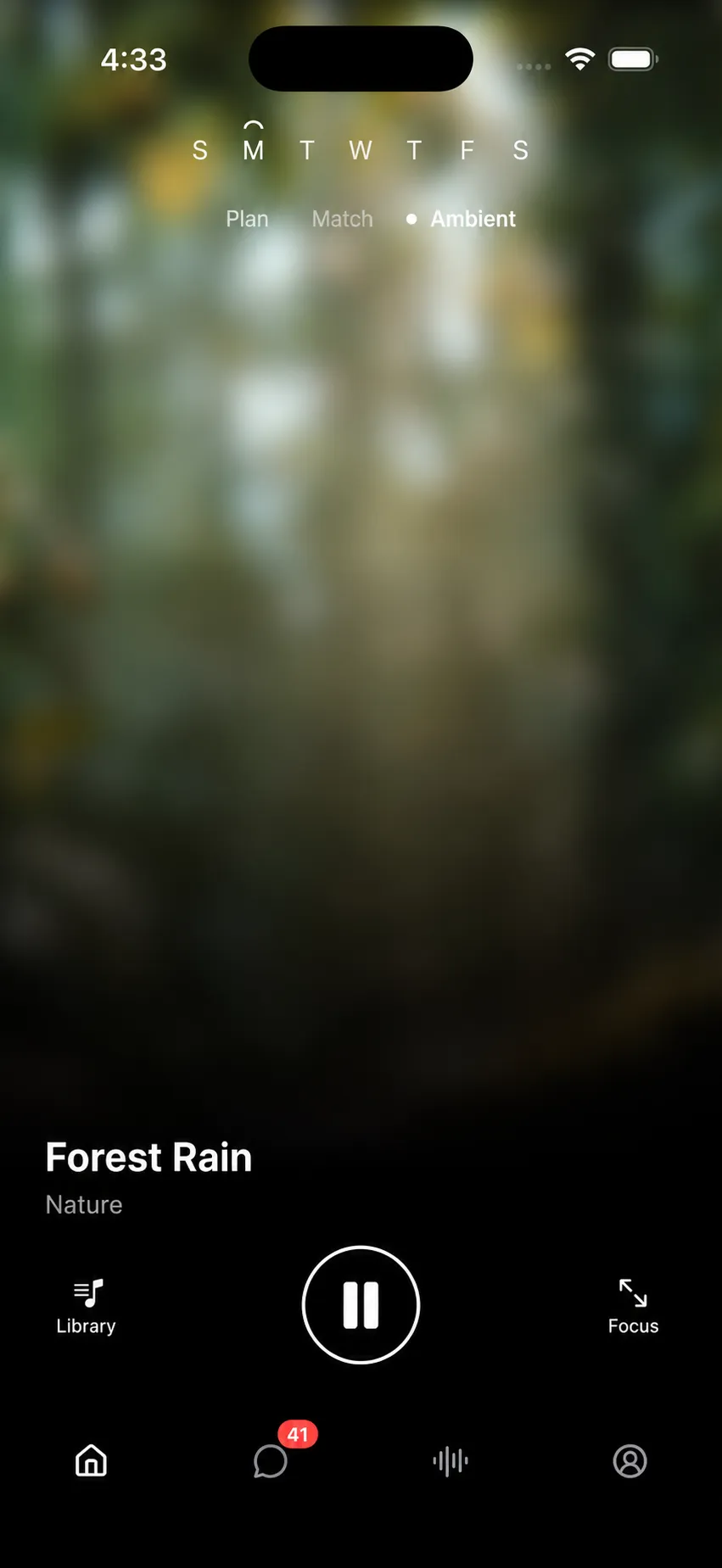 Ambient sound player with Forest Rain selected